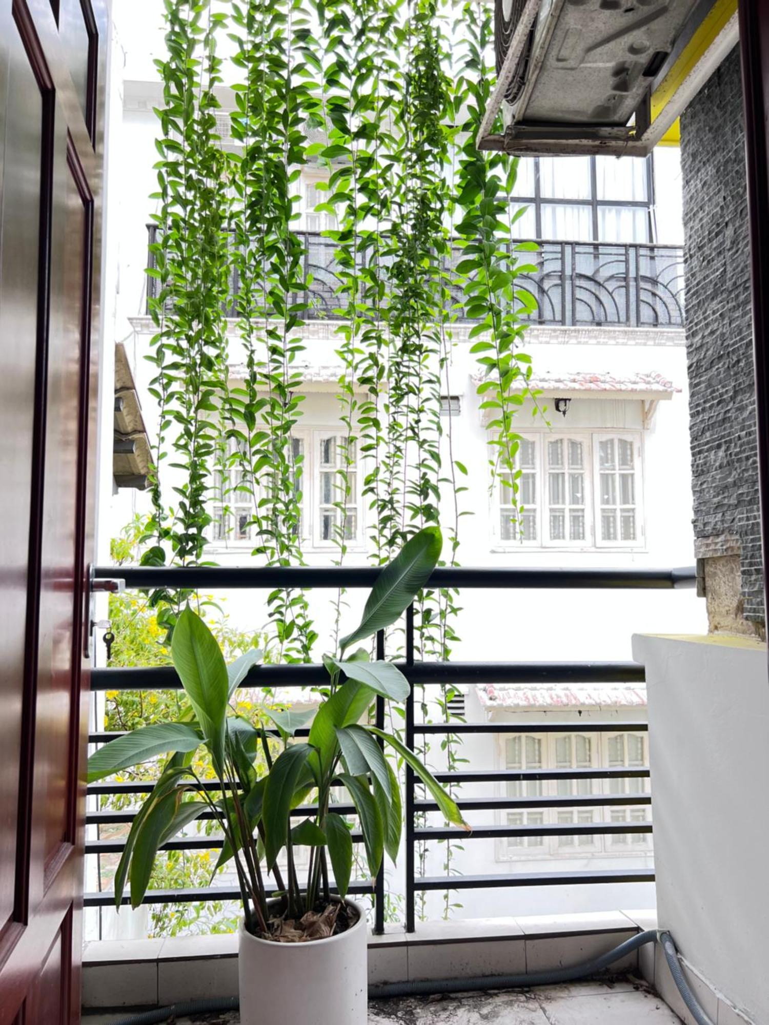 Co Homestay Saigon Ho Si Minh-város Kültér fotó